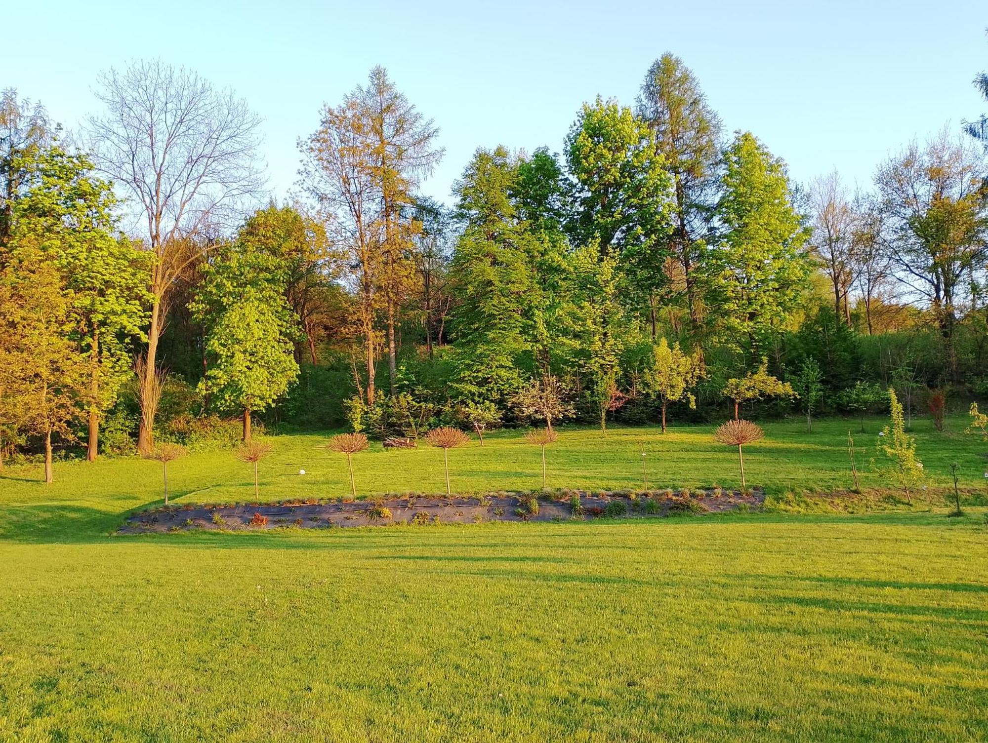 Apartament Z Ogrodem I Przemyśl Buitenkant foto